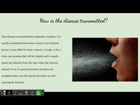 Haemophilus Influenzae