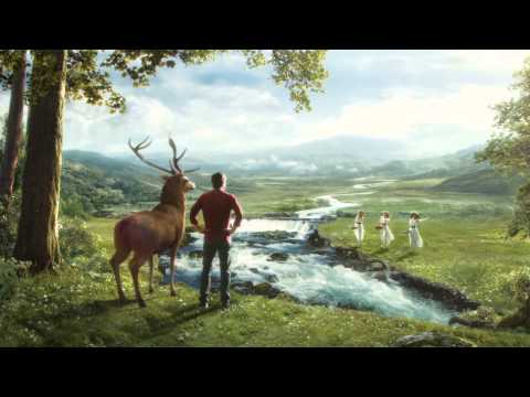 Poiana Ciucas - Armonie