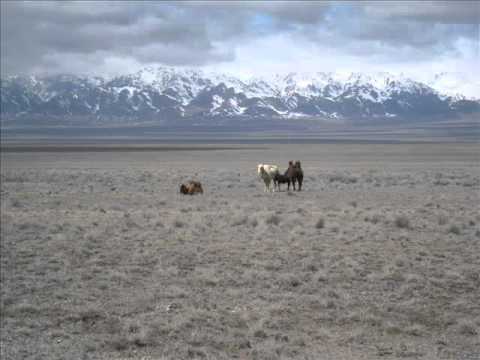 Vladigerov - Symphony No.2 (II)