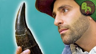 Holding the MOST FAMOUS T-REX Tooth! by Brave Wilderness