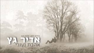 אדיר גץ-אהבת נעורי