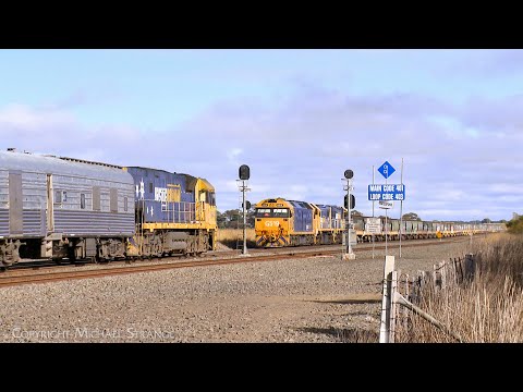 6MA8 Overland Passenger Train Crosses Pacific National 7732V Grain Train (12/4/2025) - PoathTV