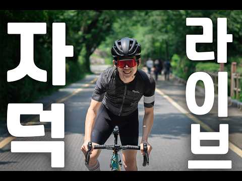 자덕을 위한 최고의 자동차를 찾아보자