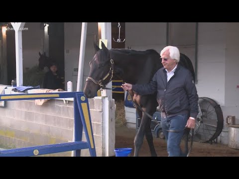 Bob Baffert's history with horse drug testing