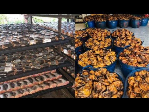 TOP 10 Best Thailand dry fish 🐠🐟.dry fish from thailand.call.for sale 🤙 call.african.food.