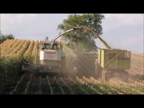 Maisernte 2019 -  Der Prozess der Maisernte in MV vom Feld bis zum Silo