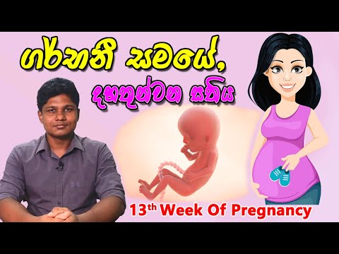 Pregnancy 13th Week | Sinhala Medical Review | අම්මයි බබයි