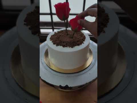 #cake #cakedecorating #ilakkiyacakes #pondicherry #shorts #trend
