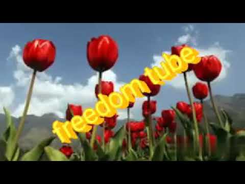 Yaa Rabbi nuuf kenni obboleessa diinii Kan qow