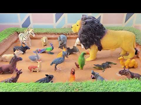 A Legendary Journey with Nocturnal Zoo Animals and Birds for Toddlers