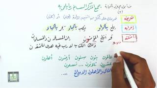 جمع المذكر السالم وعلامة إعرابه 3-2 image