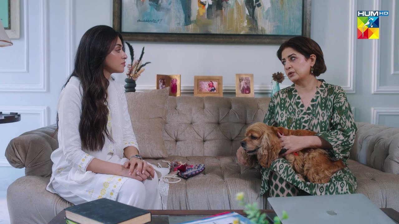 Tumhein Nokari Ki Itni Zarurat Kiyun...?  Neeli Kothi - HUM TV