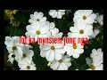 Jot Ei Ka Mynsiem Jong Nga Please Share Like And Subcribe Khasi Lyric Best Song