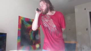 Pillhead by The Plot In You (rough vocal cover)