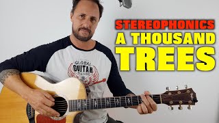 Stereophonics  A Thousand Trees Lesson