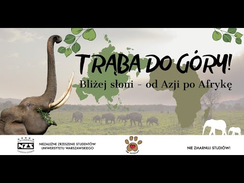 Trąba do góry! Bliżej słoni - od Azji po Afrykę