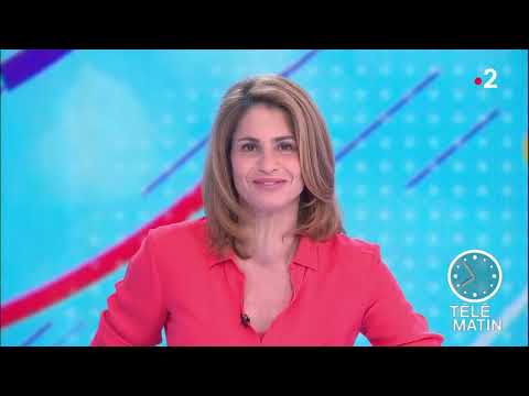 F2 Telematin : sante AVC et handicap, IVS3 de Dessintey