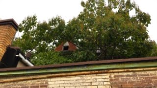 Finding an Abandoned, Hidden Mansion on a Drive Around Baltimore