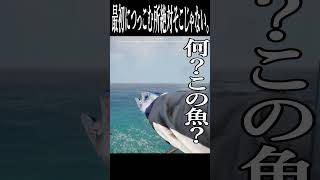 なんか、変な魚を見つけた #ゲーム実況 #ホラゲー #shorts #horrorgame