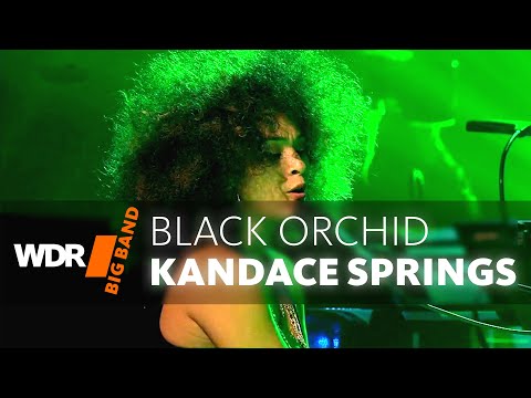 Kandace Springs feat. by WDR BIG BAND - Black Orchid