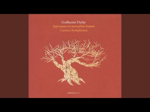 コルネイヤ・ド・コンフランのサント・マリー教会 - 定義