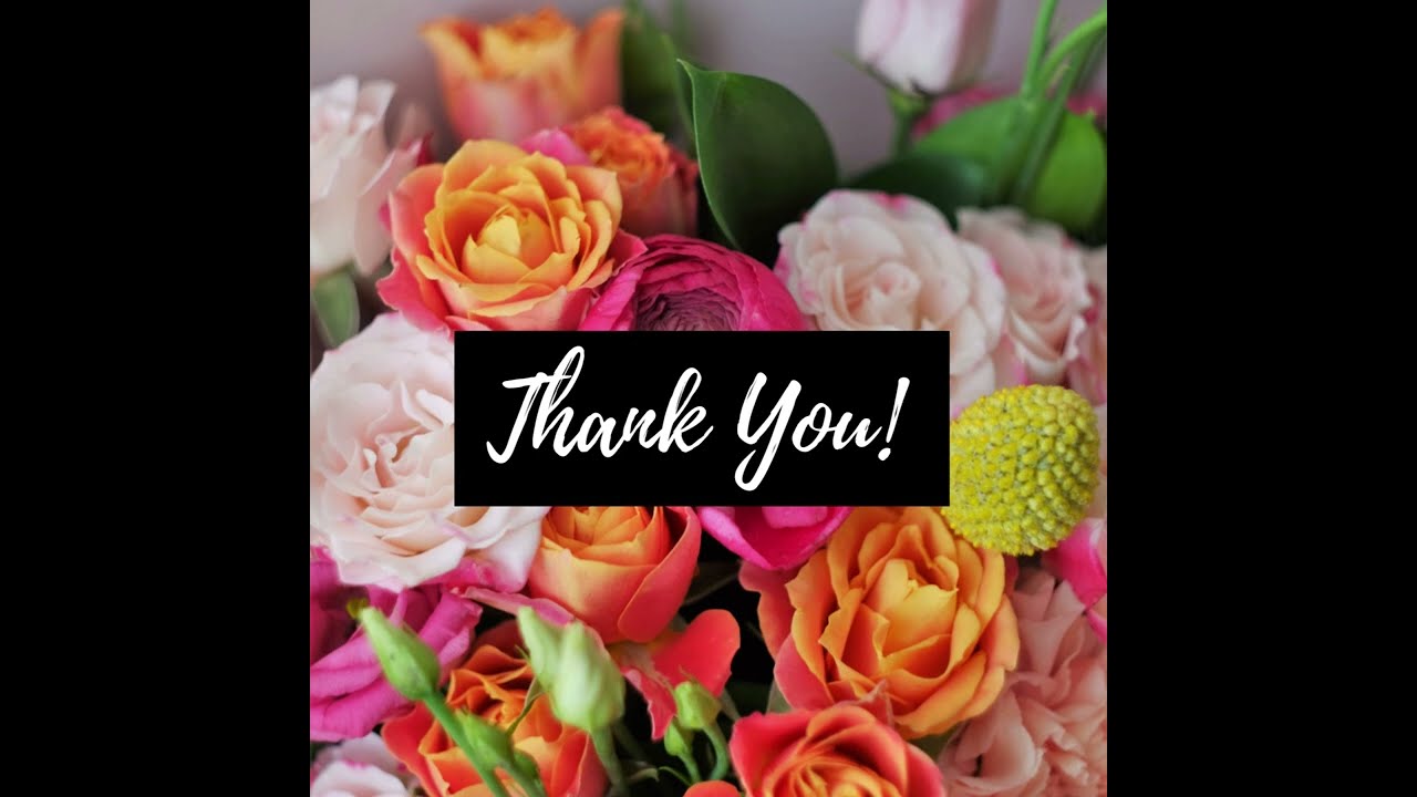 Celebrating 15 Years