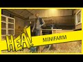 HEA: Robin's minifarm in Sint Annaparochie