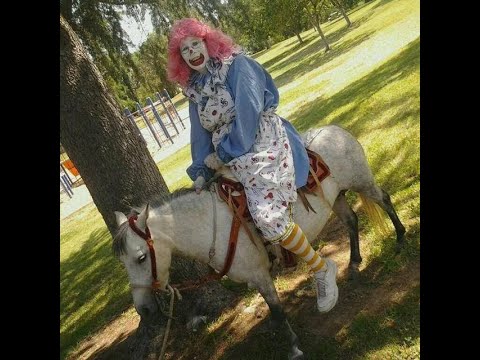 Fire Emblem: 3H Maddening 0% Growths Black Eagles - Lorenz Paralogue