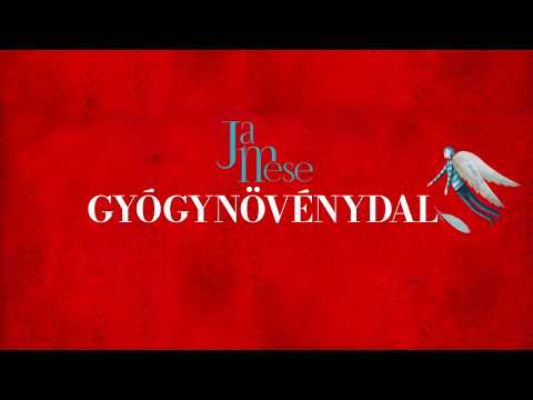 JaMese: Gyógynövénydal feat Dalinda - lyrics videó