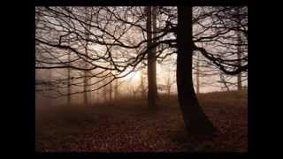 Fading Colours - Time (Freenternetry mix)