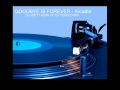 GOODBYE IS FOREVER Arcadia - Dj Joey Hizon 12'' Extended Mix