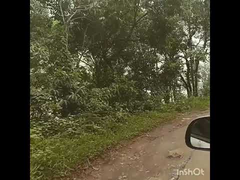 Ronak Poem- Pehli...