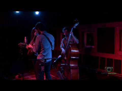 Billy Failing  2017-03-02  The First Whipporwill