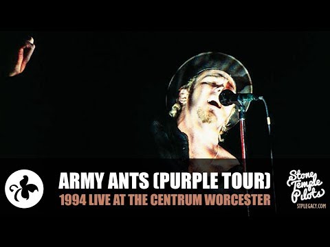 ARMY ANTS (1994 PURPLE TOUR LIVE AT THE CENTRUM WORCESTER) STONE TEMPLE PILOTS BEST HITS