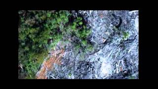 Festival of Ideas 2011 - Contemporary Visions and Critiques of the Landscape