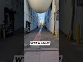 What Is This Shorts Shortvideo Trending Fypシ Foryou Strangerthings Ufoキャッチャー Wtf Fyp