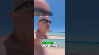 Pearl Cove Beach Club Swimming With Sharks! #shorts #celebrationkey #carnivalcruise