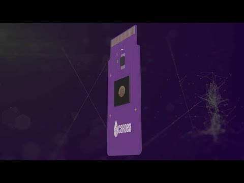 In 30 seconds: What is a BPU™?