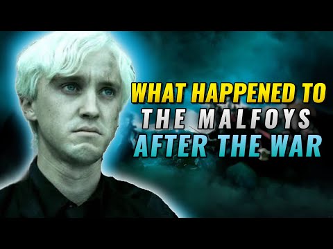 What happened to the Malfoys after the War in Harry Potter Hogwarts