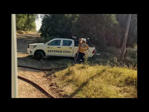 Incendio forestal en Necochea requirió operativo coordinado de emergencia // Noticias.lat