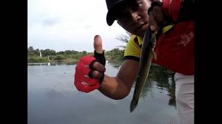 preview picture of video 'kesting di  danau santani tj.balai karimun mantaaaap'