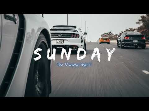 ORGAN, Stige - Cricket (we nice)《Sunday No Copyright Music》