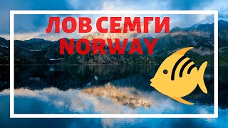 Рыбалка на сёмгу в норвегии
