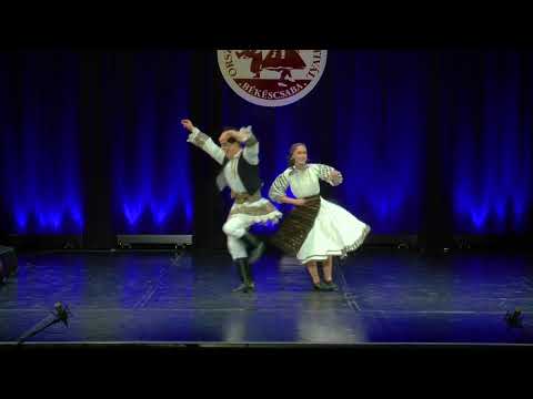 Német Viktória - Deák Bálint: Keménytelki invirtita és hategana