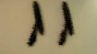 Wu Gaozhong's Windshield Wipers