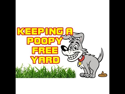How To Keep Your Yard; Dog Poop Free!