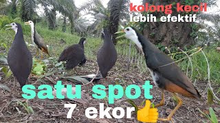 Download lagu baru saja jerat usai di pasang ruak ruak pun langsung bermunculan mp3