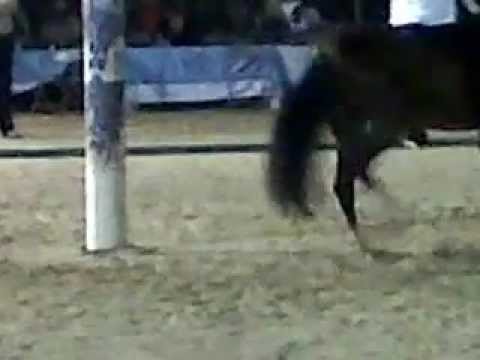 Sol Naciente Copa Cialitos 01202013