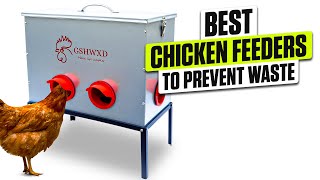 3 BEST Chicken Feeders to Prevent Waste