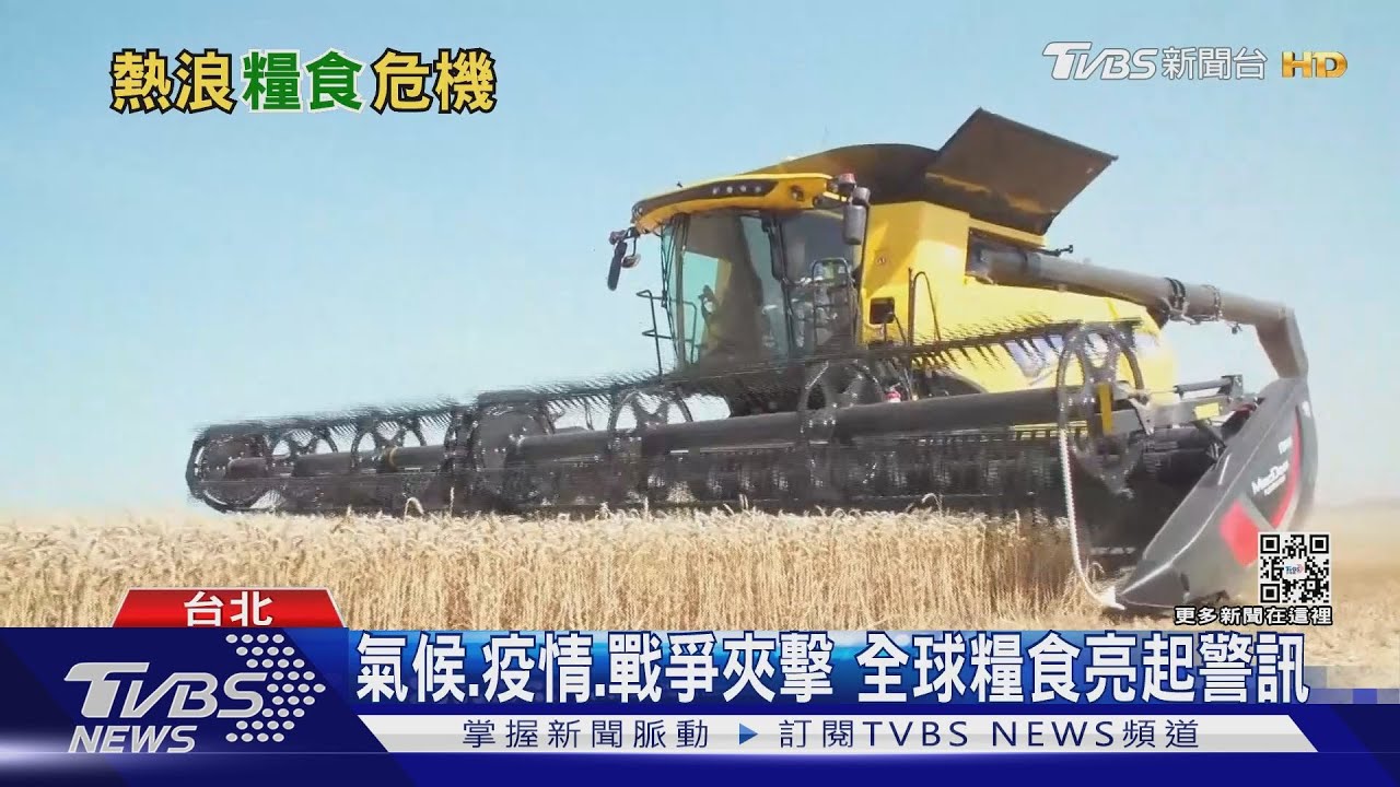 熱浪不斷! 歐洲小麥供應產量減少 全球糧食恐陷危機